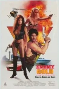 18 enemy gold 1993