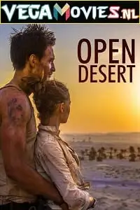 open desert 2013