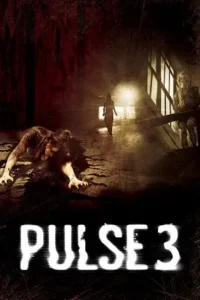 pulse 3 2008