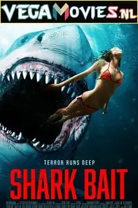 shark bait 2022